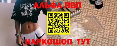 индика Новодвинск