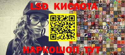 индика Новодвинск