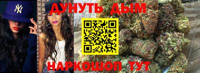 индика Новодвинск