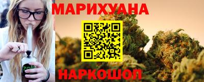 индика Новодвинск