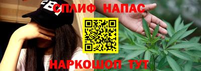 ECSTASY Новозыбков