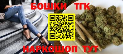 индика Новодвинск