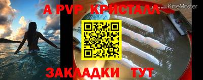 индика Новодвинск