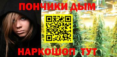 ECSTASY Новозыбков