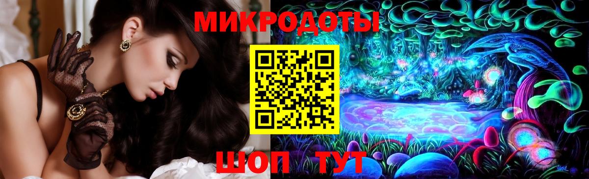 Псилоцибиновые грибы Psilocybe Улан-Удэ