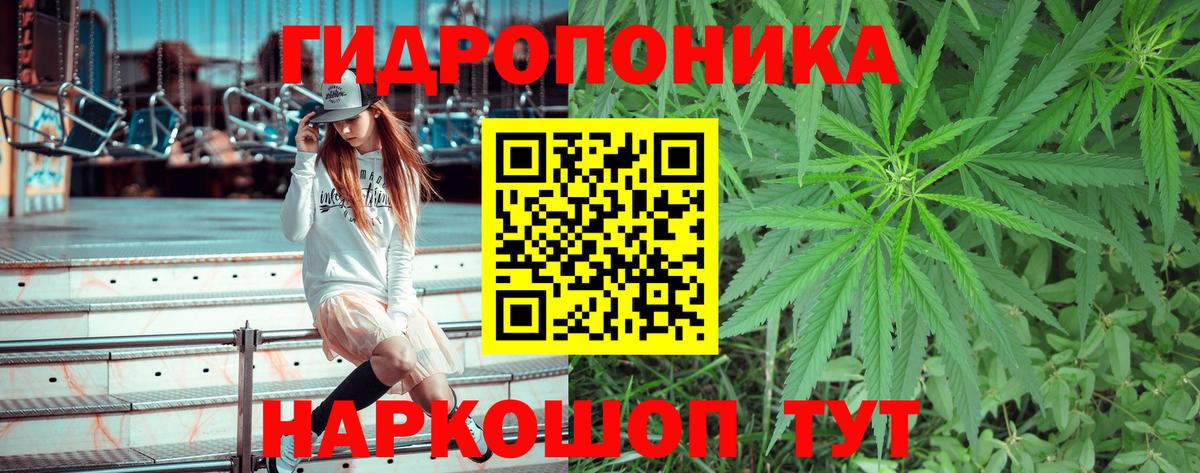 Каннабис планчик Улан-Удэ